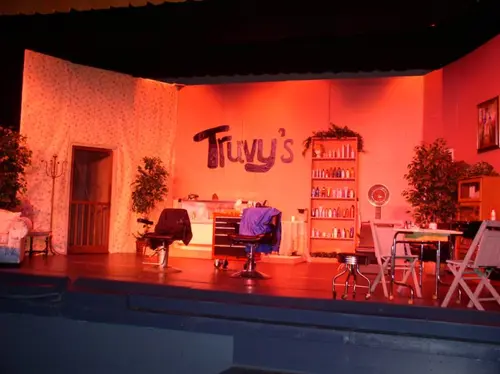 2005 Steel Magnolias — photo 3
