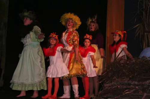 2006 Honk! — photo 4
