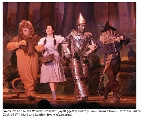 2011 Wizard of OZ — photo 2
