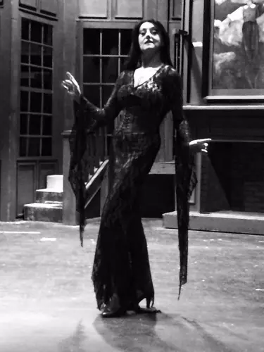 2014 Addams Family — photo 25