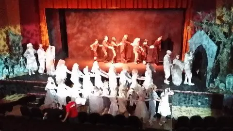 2014 Addams Family — photo 10