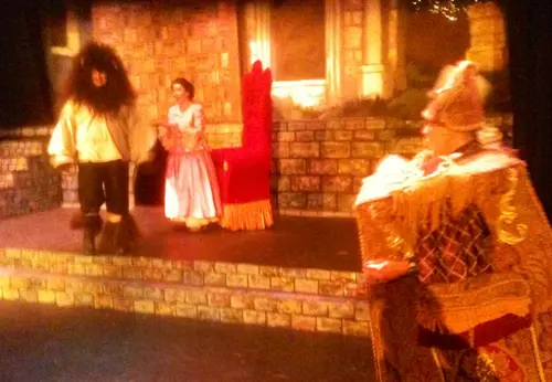 2016 Beauty and The Beast — photo 6