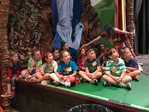 2017 Lion King — photo 10
