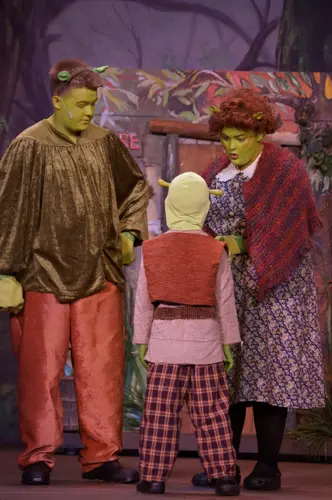 2018 Shrek — photo 4