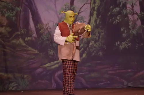 2018 Shrek — photo 7