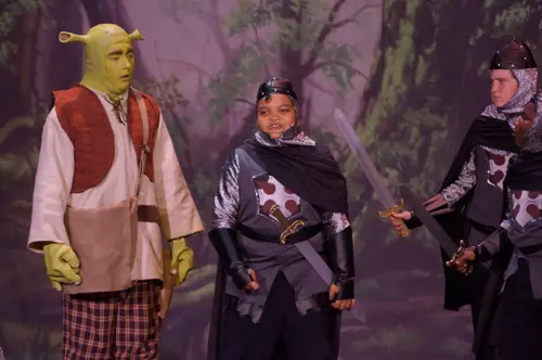 2018 Shrek — photo 8