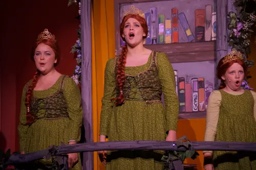 2018 Shrek — photo 9