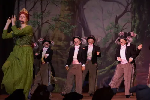 2018 Shrek — photo 12