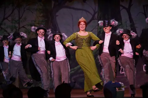 2018 Shrek — photo 13