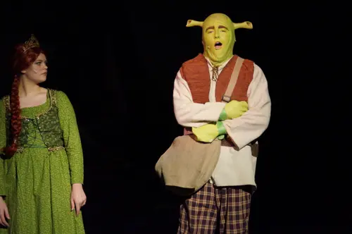 2018 Shrek — photo 14