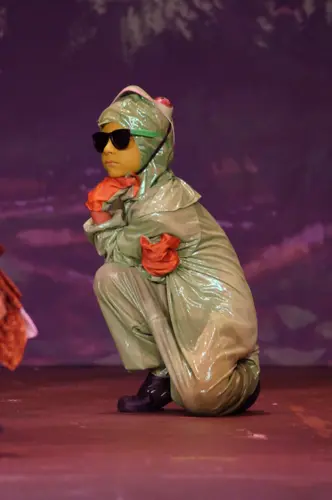 2018 Shrek — photo 15