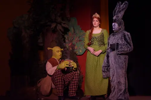 2018 Shrek — photo 16