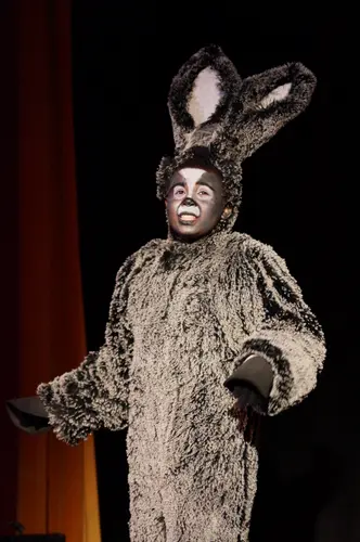 2018 Shrek — photo 17