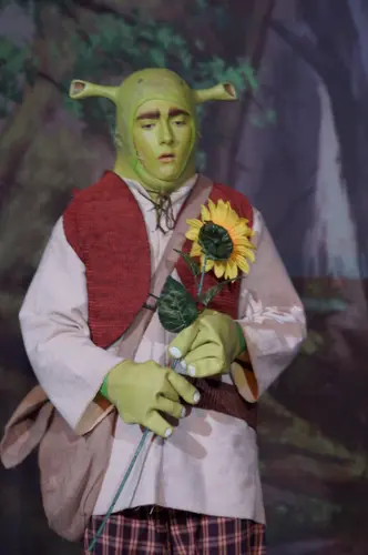 2018 Shrek — photo 18