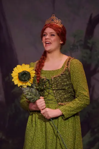 2018 Shrek — photo 19