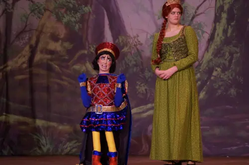 2018 Shrek — photo 20