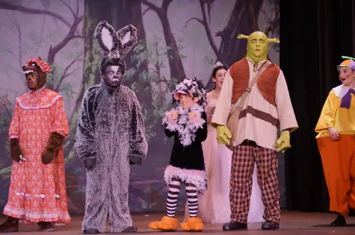 2018 Shrek — photo 22