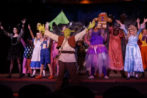 2018 Shrek — photo 24