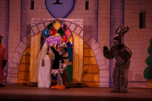 2018 Shrek — photo 28