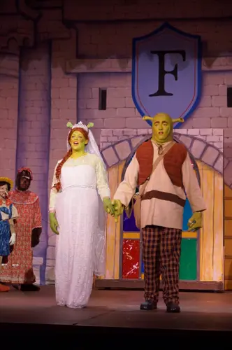 2018 Shrek — photo 29