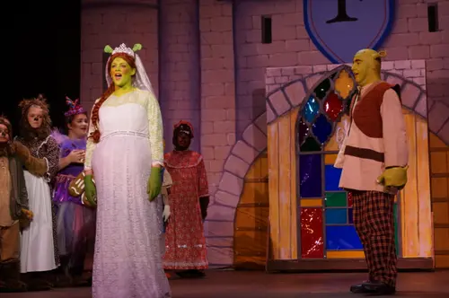 2018 Shrek — photo 30