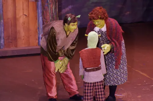 2018 Shrek — photo 31
