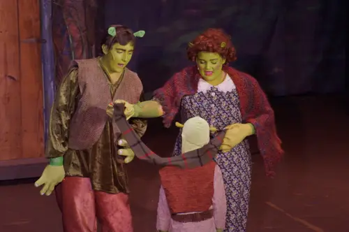 2018 Shrek — photo 32