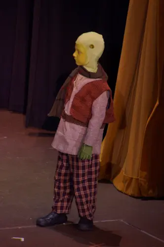 2018 Shrek — photo 33