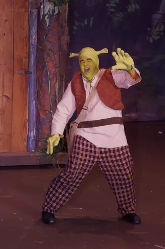 2018 Shrek — photo 34