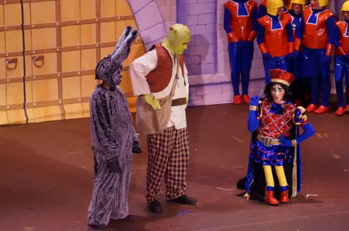 2018 Shrek — photo 51