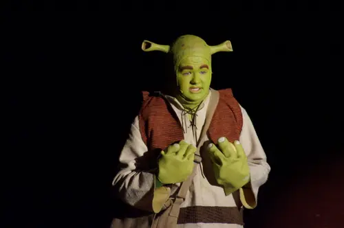 2018 Shrek — photo 56