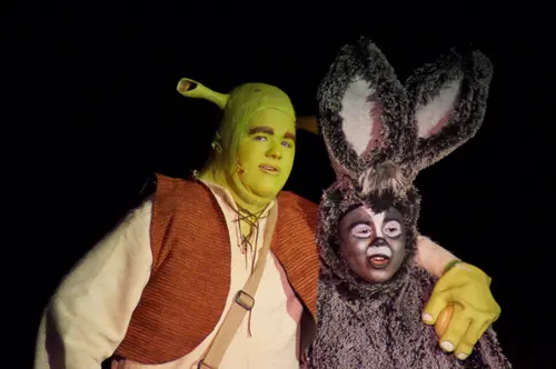 2018 Shrek — photo 57