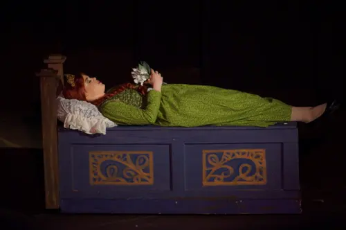 2018 Shrek — photo 62