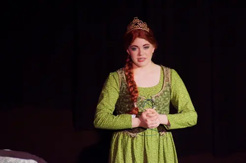 2018 Shrek — photo 63