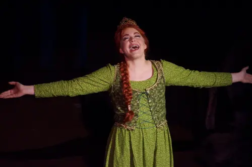 2018 Shrek — photo 65