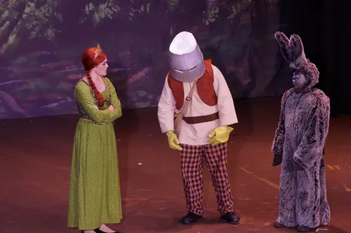 2018 Shrek — photo 66
