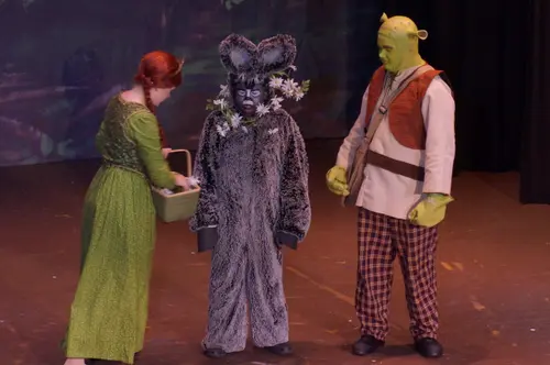 2018 Shrek — photo 70