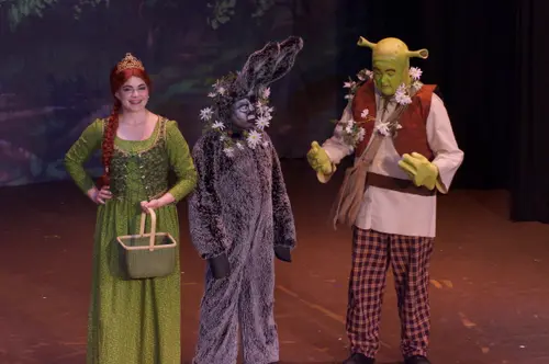 2018 Shrek — photo 71