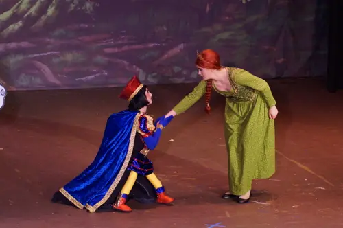 2018 Shrek — photo 76