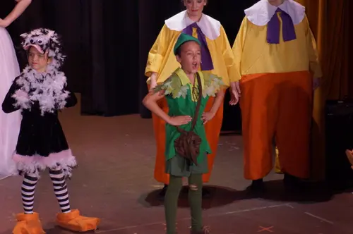 2018 Shrek — photo 77