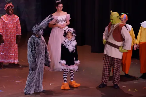 2018 Shrek — photo 78