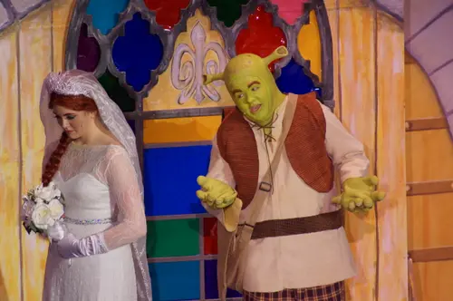 2018 Shrek — photo 87