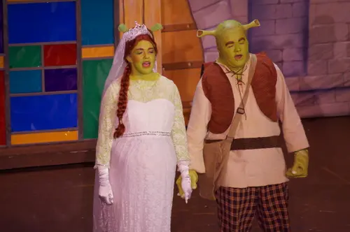 2018 Shrek — photo 92