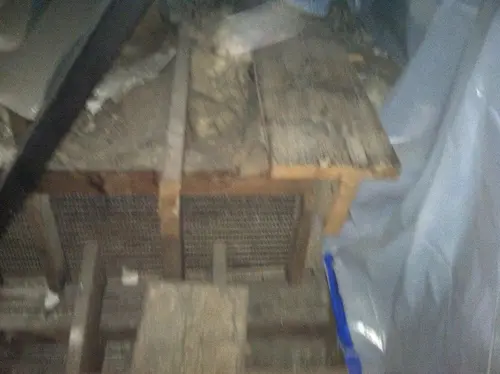 Arabian - Pinehurst — 2013 In The Attic — photo 21
