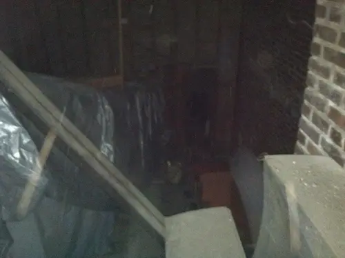 Arabian - Pinehurst — 2013 In The Attic — photo 23