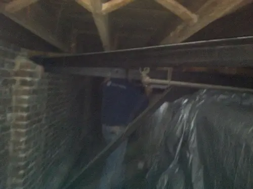 Arabian - Pinehurst — 2013 In The Attic — photo 24