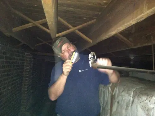 Arabian - Pinehurst — 2013 In The Attic — photo 27