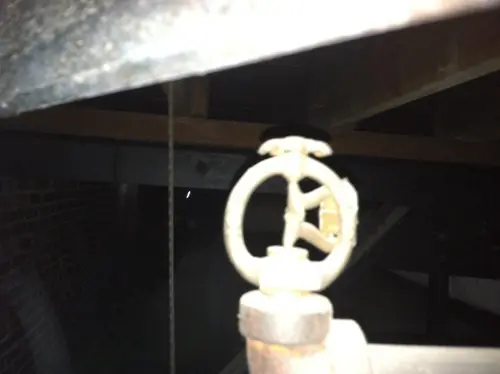 Arabian - Pinehurst — 2013 In The Attic — photo 30