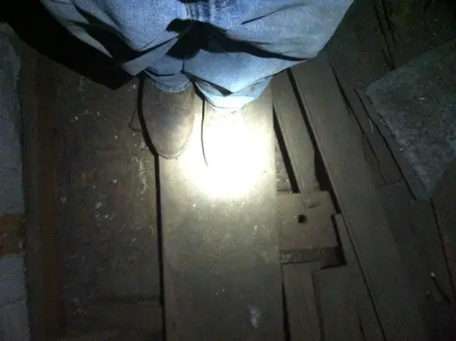 Arabian - Pinehurst — 2013 In The Attic — photo 32
