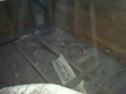 Arabian - Pinehurst — 2013 In The Attic — photo 34